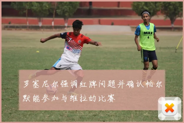 罗塞尼尔强调红牌问题并确认帕尔默能参加与维拉的比赛